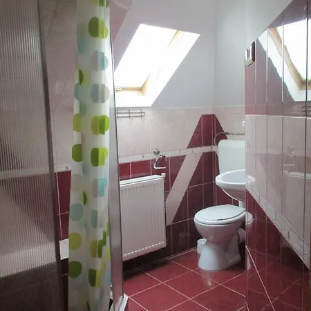 Guest house Tavi Vendeghaz