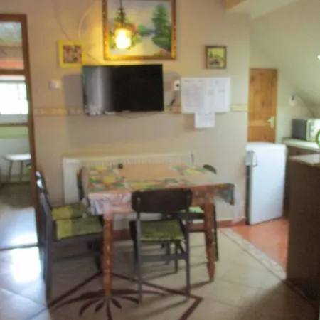 Гостевой дом Tavi Vendeghaz 3*